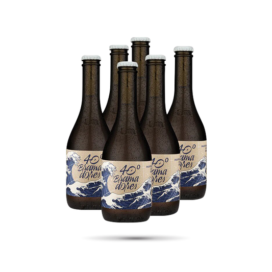 PACK CERVEZA 40 BRAMADORES 330 ML / 6 UNIDADES